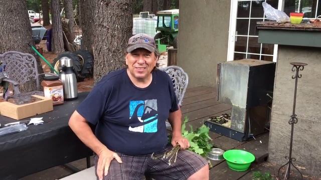 У Сани на даче. Вяжу веники смотреть онлайн