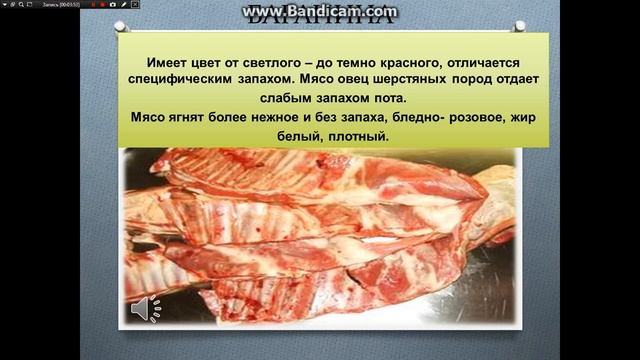 МЯСО И МЯСНЫЕ ПРОДУКТЫ смотреть онлайн