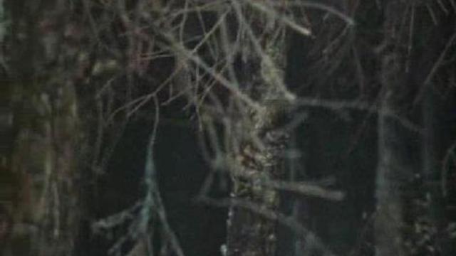 Дядюшка АУ смотреть онлайн