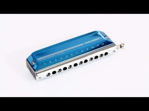 Песня  Эх дороги..  на хроматической губной гармошке #hromaticharmonica #ХроматическаяГубнаяГармошка