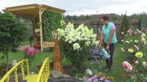 6 соток 14 августа 2023 года. Хроника.