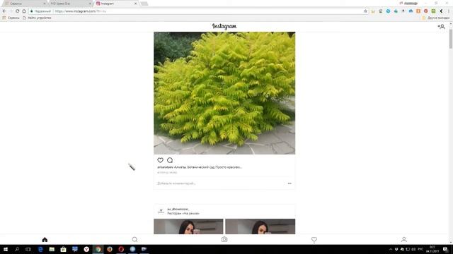 Как загрузить фото в инстаграм через компьютер смотреть онлайн