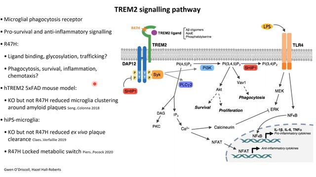 02/11/20 Sally Cowley (University of Oxford) смотреть онлайн