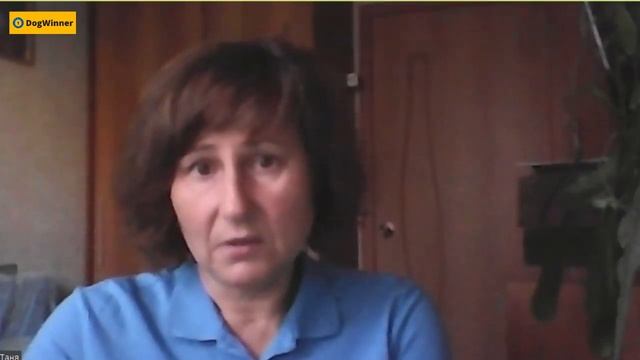 Как отучить собаку провоцировать драку при общении с сородичами? смотреть онлайн