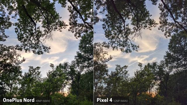 OnePlus Nord Versus Pixel 4 Camera Comparison Review
