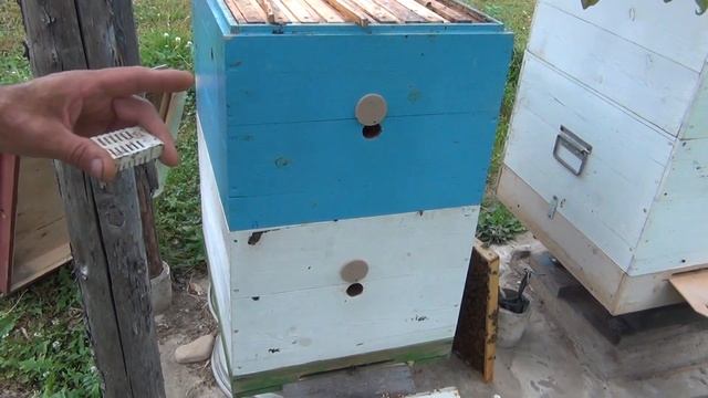 новый дом для колоды смотреть онлайн