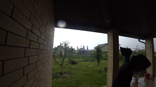 Куда делась курочка. Неожиданный ПРИЯТНЫЙ сюрприз. ГРОЗА. Маленький воришка. ДОМ НА ЮГЕ смотреть онлайн