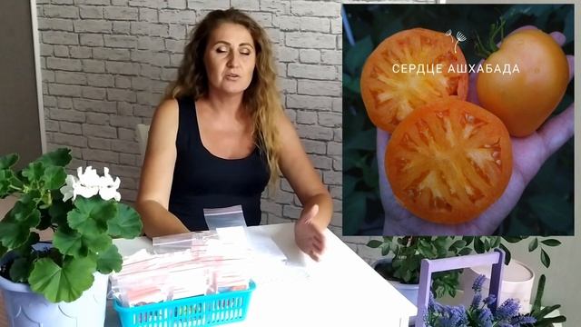 ПОМИДОР СЕРДЦЕ АШХАБАДА! ПОЛНЫЙ ОБЗОР СОРТА! смотреть онлайн