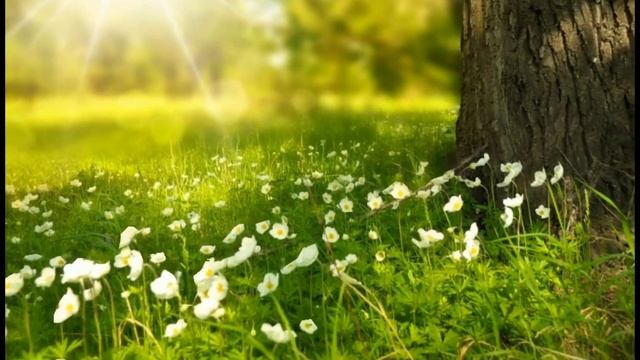 Музыка для глубокого сна...             Просто слушайте и начните притягивать чудеса.???