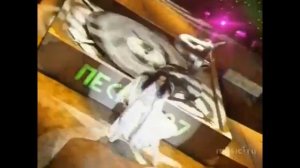 Поп Песня года 1997 Останкино.