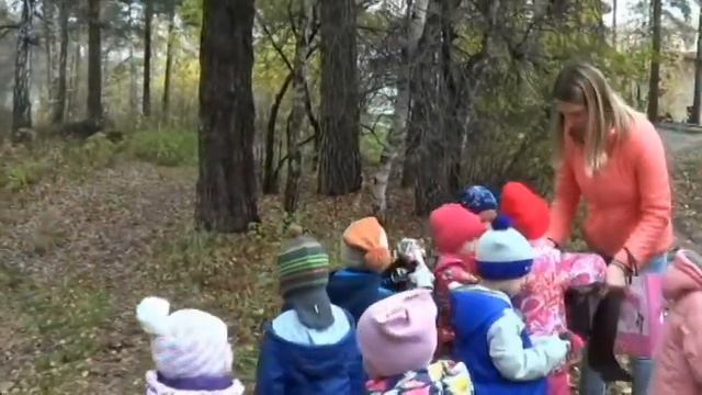 образовательное событие МБДОУ№31 Колокольчик смотреть онлайн