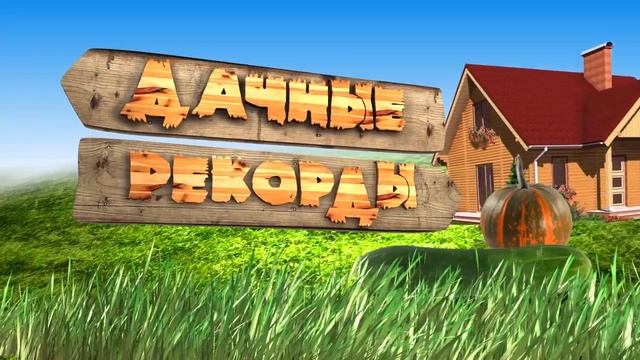 "Удачная среда" - севооборот на маленьком участке (Бийское телевидение) смотреть онлайн