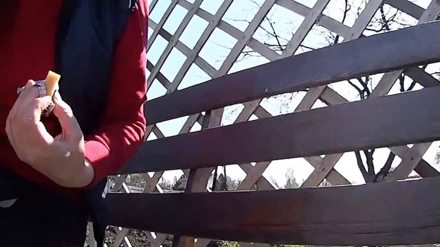 Праздничные дни на даче. Часть 1. Ленивая. смотреть онлайн