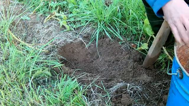 Копаю картошку после дождя. смотреть онлайн