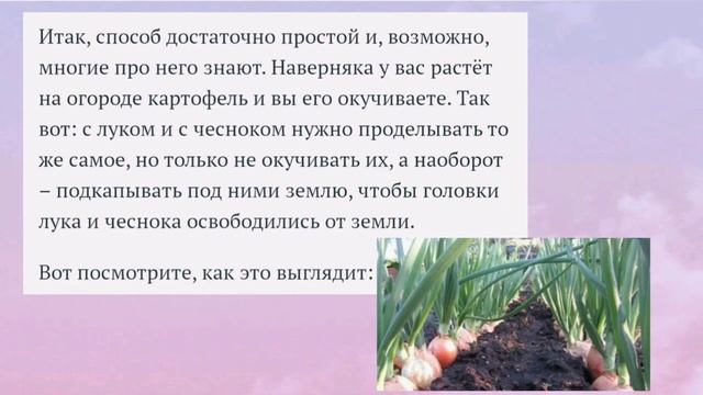 Лук. Правильное окучивание. смотреть онлайн