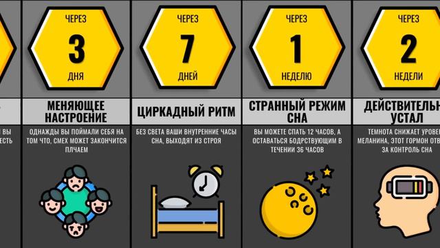 Как Долго Вы Продержитесь в Полной Темноте смотреть онлайн