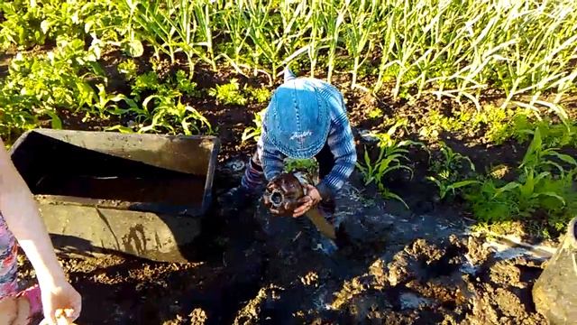 Самое смешное видео. Грязь и дети смотреть онлайн