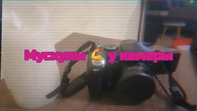 русские камеры смотреть онлайн