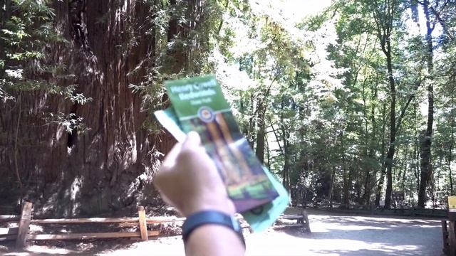 VLOG : Моя поездка в Cан Франциско часть 1 | Жизнь в Калифорнии | США смотреть онлайн