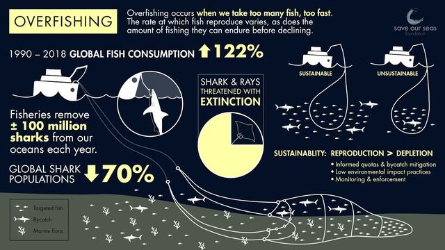 Yao Ming, Shark Conservation, and the Onset of Chinese Fascism смотреть онлайн