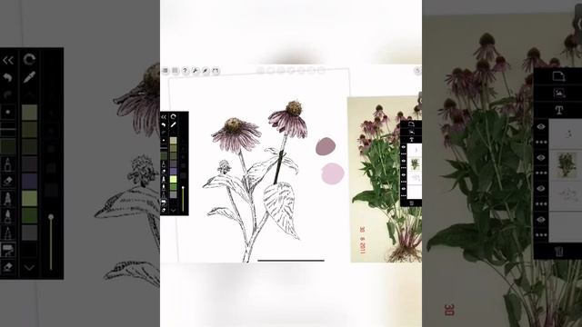 Настраиваем слои в morpholio trace смотреть онлайн