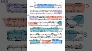 Бах. Французская сюита N2 c-moll 2.Куранта