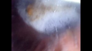 [VORE] POV: digestive system drowning and melting down its food  (male camera swallow)