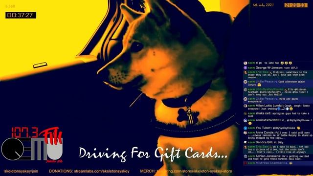 The Rocky Roger Scambait Episode One смотреть онлайн