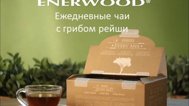 Продукция NL