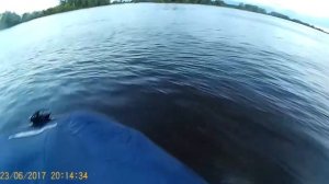 Лодка Gladiator 370Al с Tohatsu 18 и Solar 350 с Suzuki 9,9 до 15 л.с. на экшнкамеру SJCAM 4000