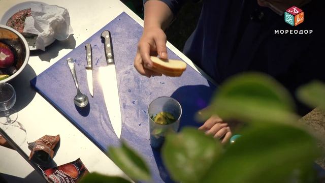 Готовим весело и со вкусом 