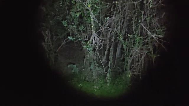 🔴Live mystery‼️The kuntilanak figure of the Dark Passenger from the Unseen Realm смотреть онлайн