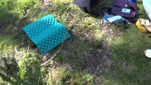 Грибы в сосновом бору 14 сент 2019(4) смотреть онлайн