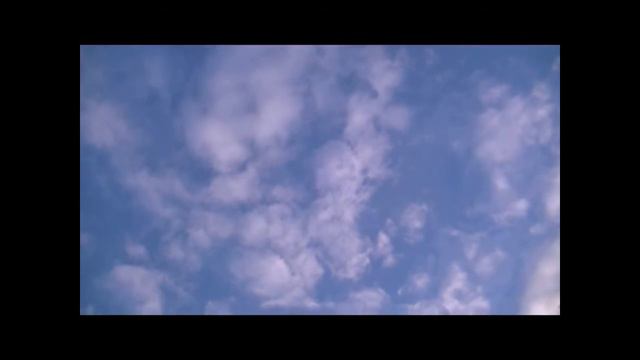 To the muses Jonathan Smit смотреть онлайн