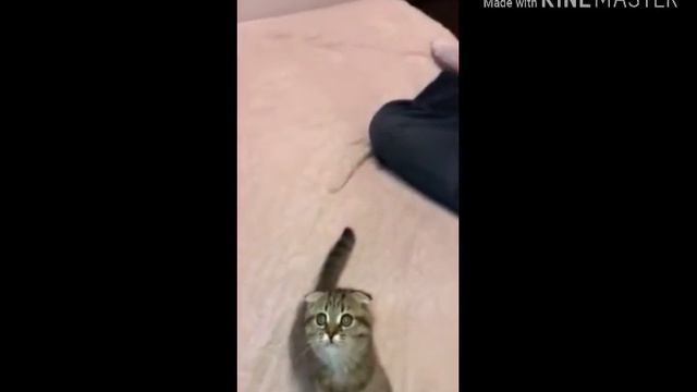 Мое самое любимое видео 💙💖💙💖 смотреть онлайн