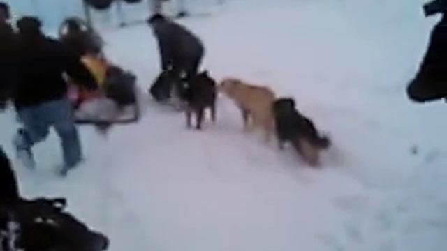 смена вахт 2 смотреть онлайн