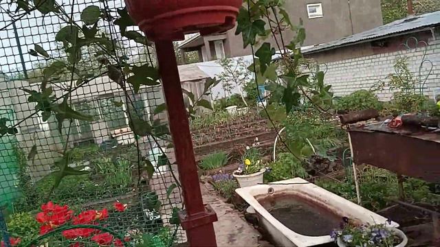 Моя любимая дача смотреть онлайн