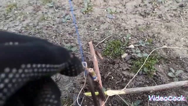 СУПЕР ВАРИАНТ ДЛЯ ЛОВУШКИ НА ФАЗАНА смотреть онлайн