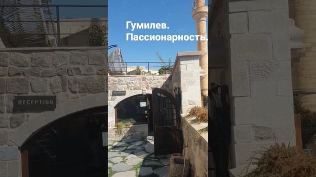 Пассионарность — это внутренняя жажда деятельности. #гумилёв #пассионарность смотреть онлайн