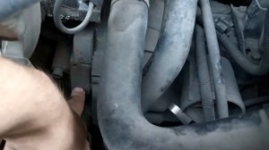 Номер двигателя на nissan bluebird