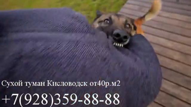 Сухой Туман Кисловодск смотреть онлайн