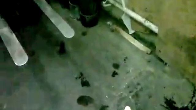 Подсолнух г Радужный смотреть онлайн