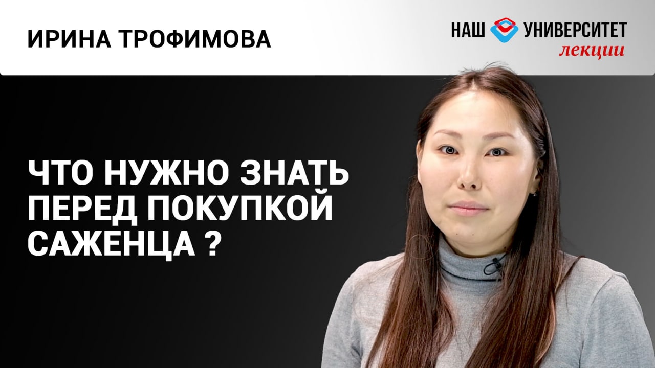 Жизнь дерева – Ирина Трофимова смотреть онлайн