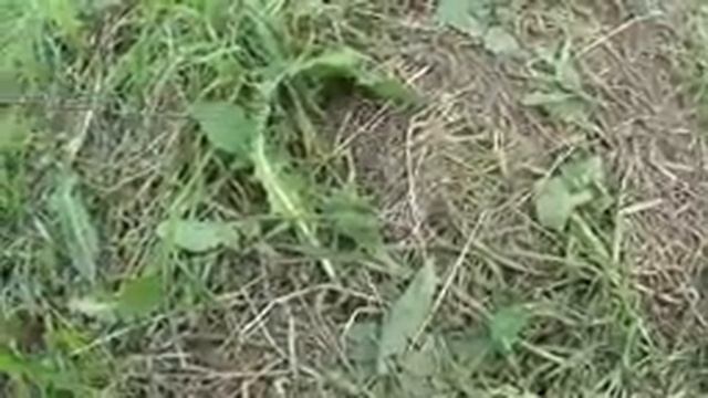 река в колодце 150 кубов в сутки смотреть онлайн