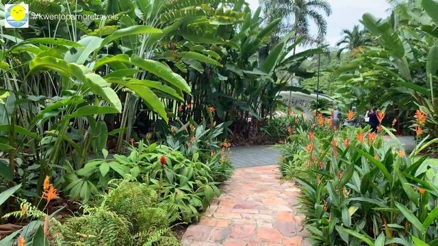 SINGAPORE BOTANIC GARDENS || GUIDE TO BOTANIC GARDENS || BOTANIC GARDENS WALKING TOUR смотреть онлайн
