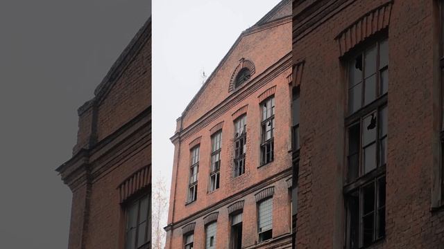 ГДЕ ГУЛЯЕТ Сергей Горошко | почему я люблю Петербург смотреть онлайн