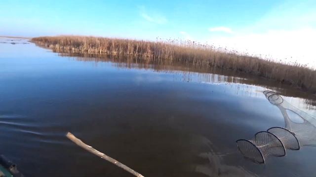 поднятие сетей. Первый улов весенней щуки. выгрузка рыбы.... смотреть онлайн