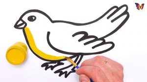 Раскраска Яркая Птичка. Как нарисовать Птичку. Раскраски Малышам.