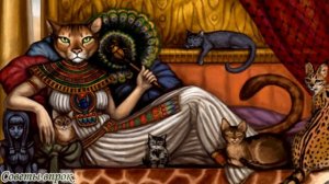 ➤Почему нельзя выгонять кошек ➤ Если кошка пришла к вам в дом ➤ Что чувствуют кошки когда её обижаю