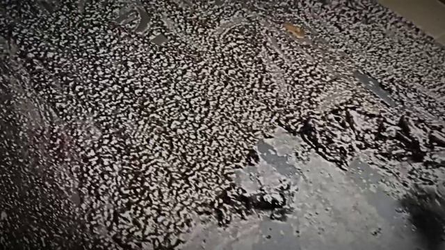 Гаражный беспредел